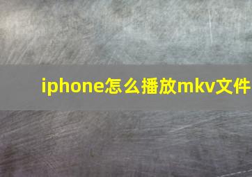 iphone怎么播放mkv文件