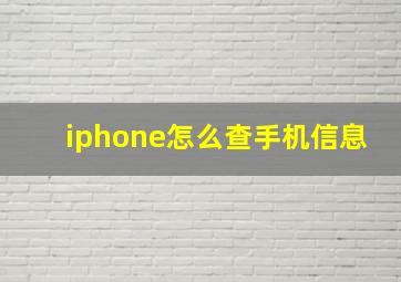 iphone怎么查手机信息