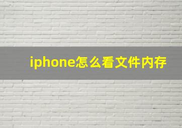 iphone怎么看文件内存