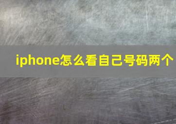 iphone怎么看自己号码两个