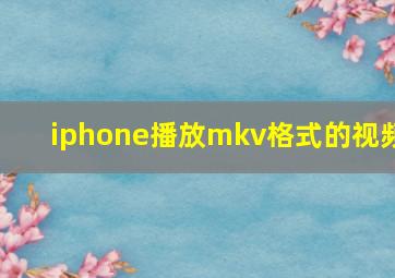 iphone播放mkv格式的视频