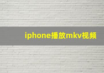 iphone播放mkv视频