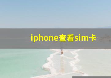 iphone查看sim卡