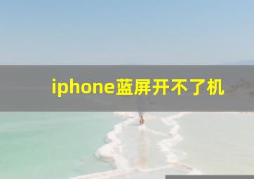 iphone蓝屏开不了机