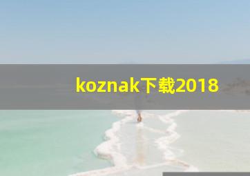 koznak下载2018