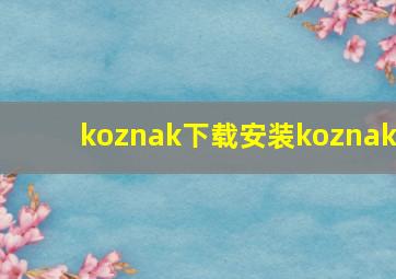 koznak下载安装koznak