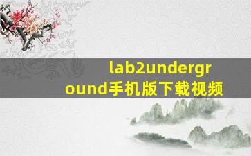 lab2underground手机版下载视频