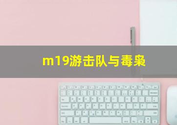 m19游击队与毒枭