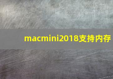 macmini2018支持内存