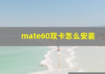 mate60双卡怎么安装