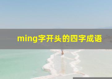 ming字开头的四字成语