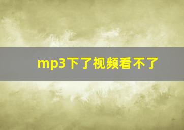 mp3下了视频看不了