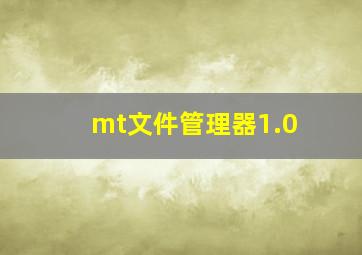 mt文件管理器1.0