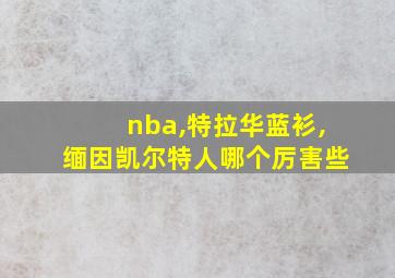 nba,特拉华蓝衫,缅因凯尔特人哪个厉害些