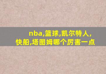 nba,篮球,凯尔特人,快船,塔图姆哪个厉害一点