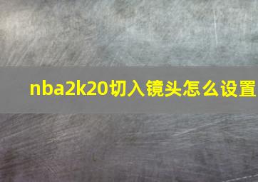 nba2k20切入镜头怎么设置