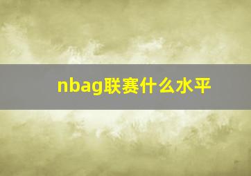 nbag联赛什么水平