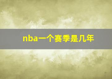 nba一个赛季是几年