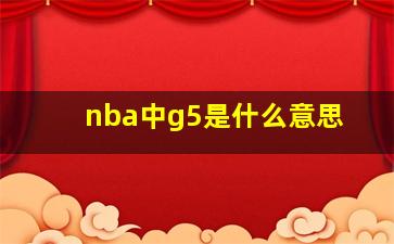 nba中g5是什么意思