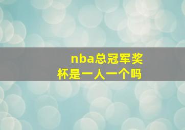 nba总冠军奖杯是一人一个吗