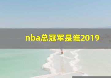 nba总冠军是谁2019