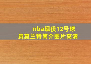 nba现役12号球员莫兰特简介图片高清