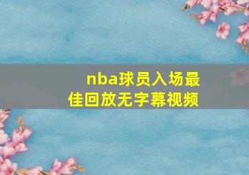 nba球员入场最佳回放无字幕视频