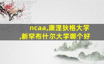 ncaa,康涅狄格大学,新罕布什尔大学哪个好