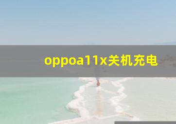 oppoa11x关机充电