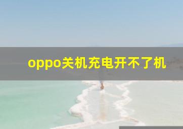 oppo关机充电开不了机