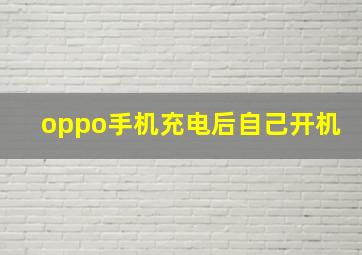 oppo手机充电后自己开机