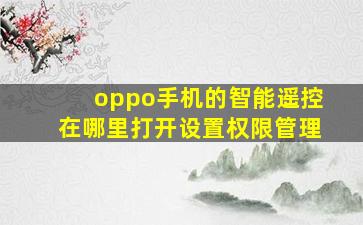 oppo手机的智能遥控在哪里打开设置权限管理