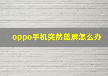 oppo手机突然蓝屏怎么办