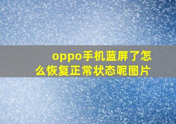 oppo手机蓝屏了怎么恢复正常状态呢图片