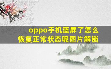 oppo手机蓝屏了怎么恢复正常状态呢图片解锁