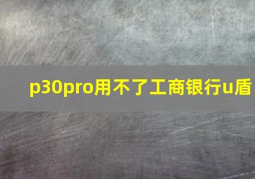 p30pro用不了工商银行u盾