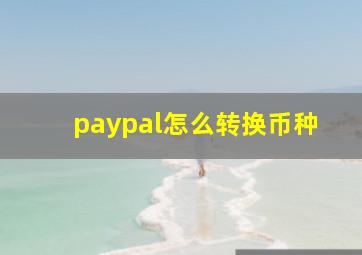 paypal怎么转换币种