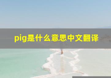 pig是什么意思中文翻译