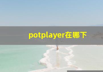 potplayer在哪下