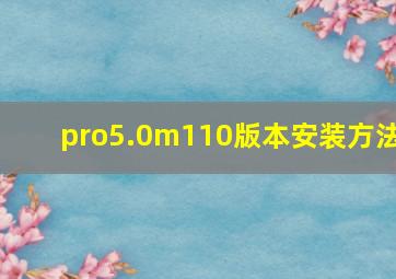 pro5.0m110版本安装方法