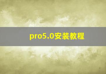 pro5.0安装教程