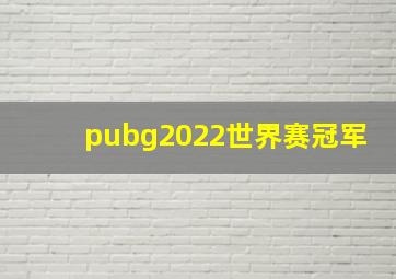 pubg2022世界赛冠军