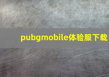 pubgmobile体验服下载