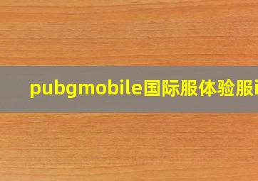 pubgmobile国际服体验服ios