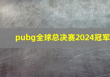 pubg全球总决赛2024冠军