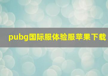 pubg国际服体验服苹果下载