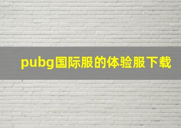 pubg国际服的体验服下载