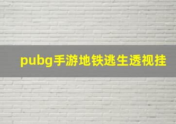 pubg手游地铁逃生透视挂