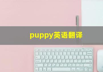 puppy英语翻译