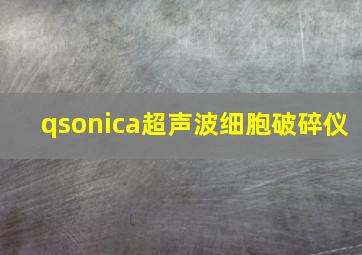 qsonica超声波细胞破碎仪